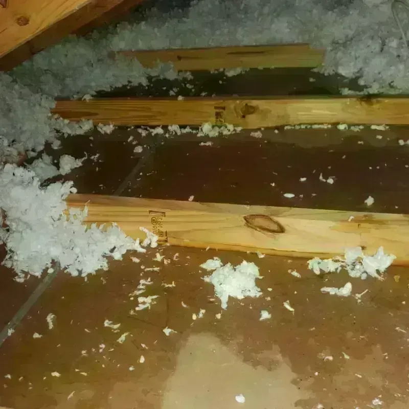 Attic Water Damage in Coudersport, PA